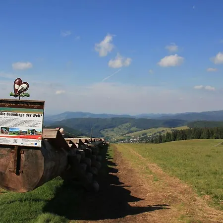 Ferienwohnung-stuebenwasen-im-gloecklehof-todtnauberg-schwarzwald Apartment *