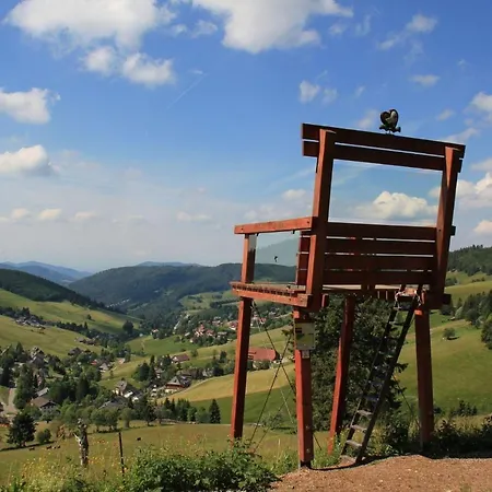 Apartment Ferienwohnung-stuebenwasen-im-gloecklehof-todtnauberg-schwarzwald